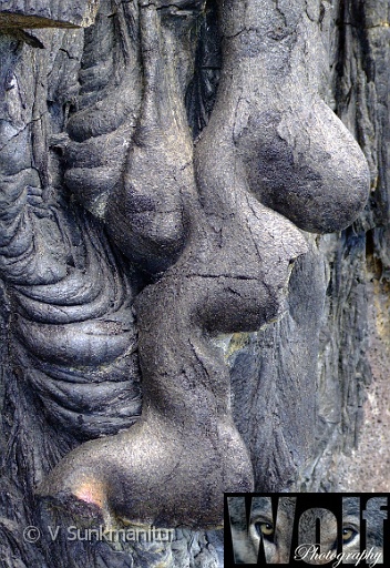 09 Rebirth Copyright Villayat Sunkmanitu.jpg